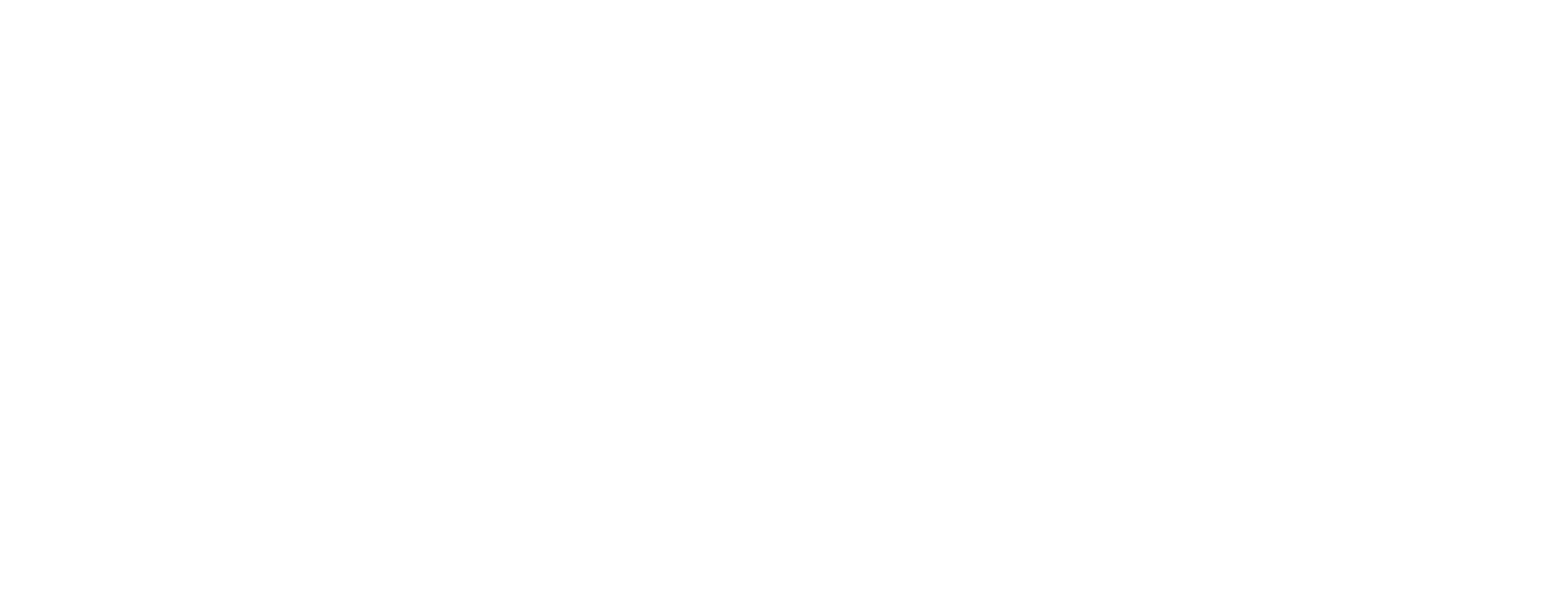 Bayview Financial logo